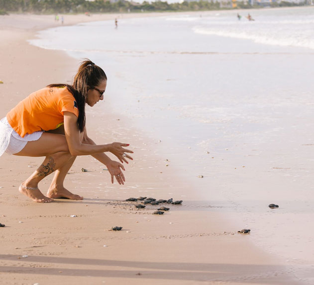 Visit the Turtle Sanctuary